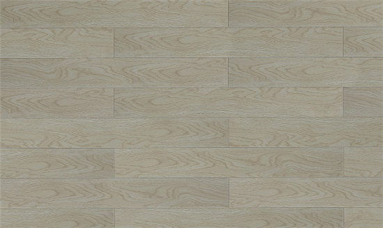 1321855562.jpg 1321855562.jpg