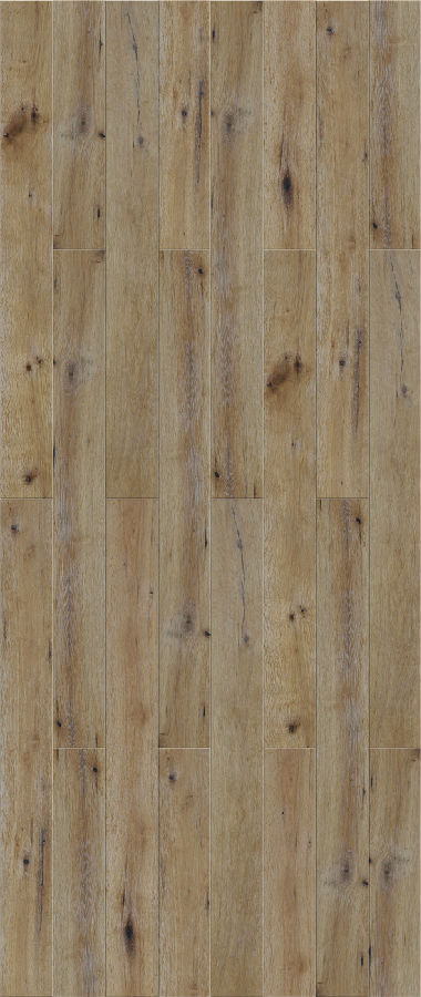 多层 栎木 SC-02.jpg